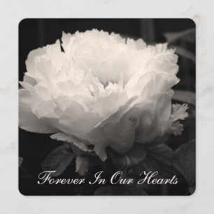 Peony Floral Photography 2 Funeral Announement Kaart