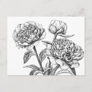 Peony-inkttekening Briefkaart