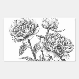 Peony-inkttekening Rechthoekige Sticker