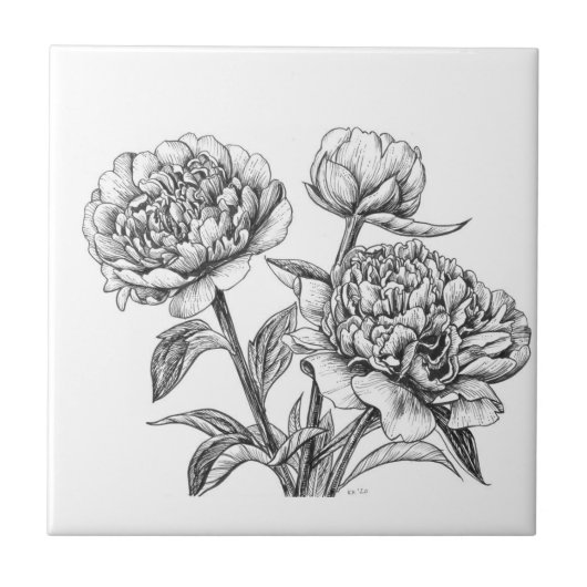 Peony-inkttekening Tegeltje (Voorkant)