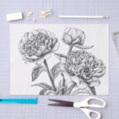 Peony-inkttekening Tissuepapier (Craft)