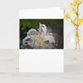 Peony, kaart (Gele Bloem)