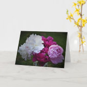 Peony, kaart (Gele Bloem)