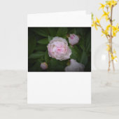 Peony, kaart (Gele Bloem)