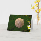 Peony, kaart (Gele Bloem)