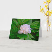 Peony, kaart (Gele Bloem)