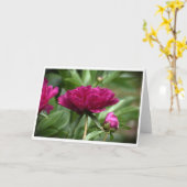 Peony, kaart (Gele Bloem)