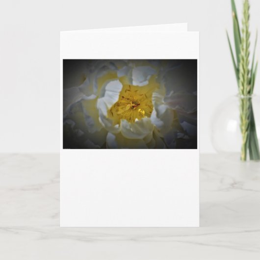 Peony, kaart (Voorkant)