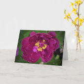 Peony, kaart (Gele Bloem)