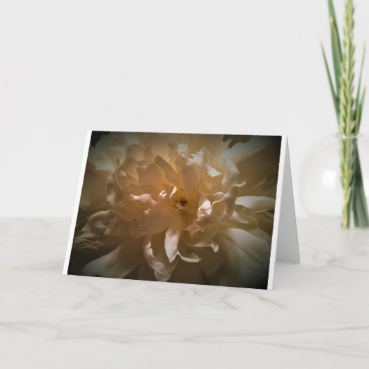 Peony, kaart (Voorkant)