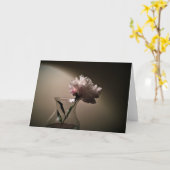 Peony, kaart (Gele Bloem)
