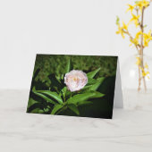 Peony, kaart (Gele Bloem)