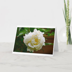 Peony, kaart