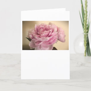 Peony, kaart