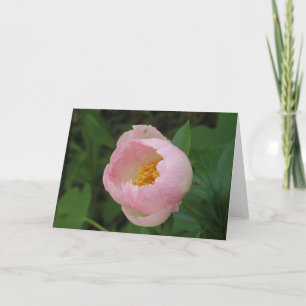 Peony Kaart