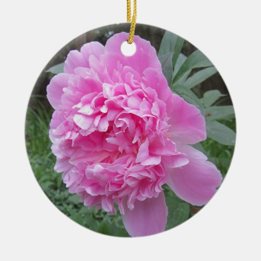 Peony Keramisch Ornament (Voorkant)