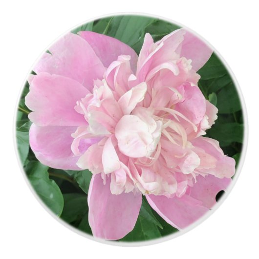 Peony Knob Keramische Knop (Voorkant)