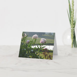 Peony notecard kaart