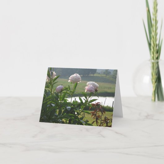 Peony notecard kaart (Voorkant)