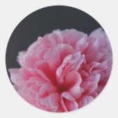 Peony op donkere achtergrond ronde sticker (Voorkant)