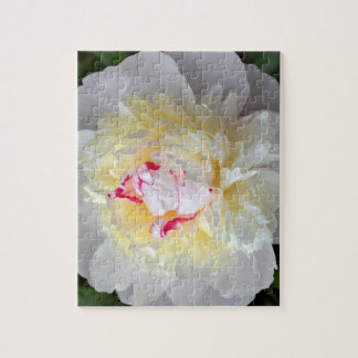 Peony Passion Legpuzzel