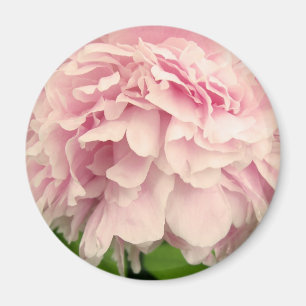 Peony Petals Magneet