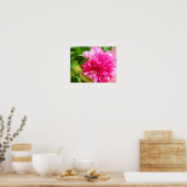 Peony Pink Flower Poster (Keuken)