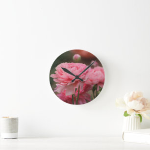 Peony Pink Ranunculus Closeup Ronde Klok