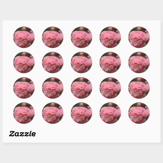 Peony Pink Ranunculus Closeup Ronde Sticker (Vel)