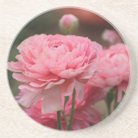 Peony Pink Ranunculus Closeup Zandsteen Onderzetter (Voorkant)