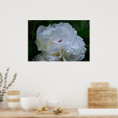 Peony Poster (Keuken)