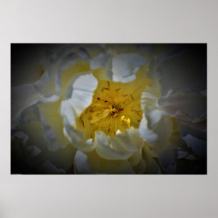 Peony Poster