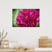 Peony Poster (Keuken)
