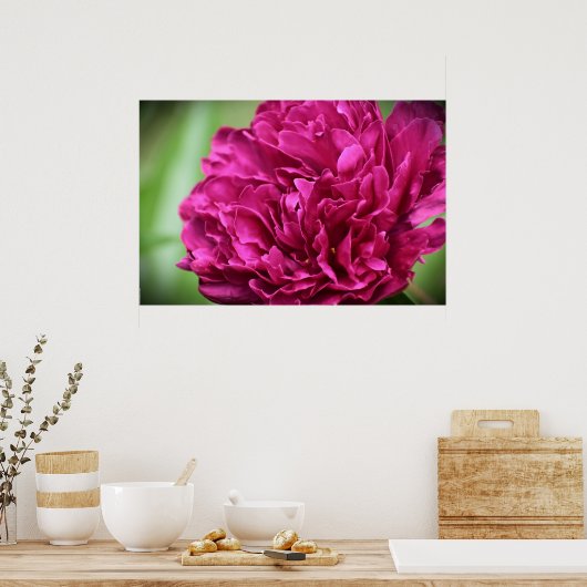 Peony Poster (Keuken)