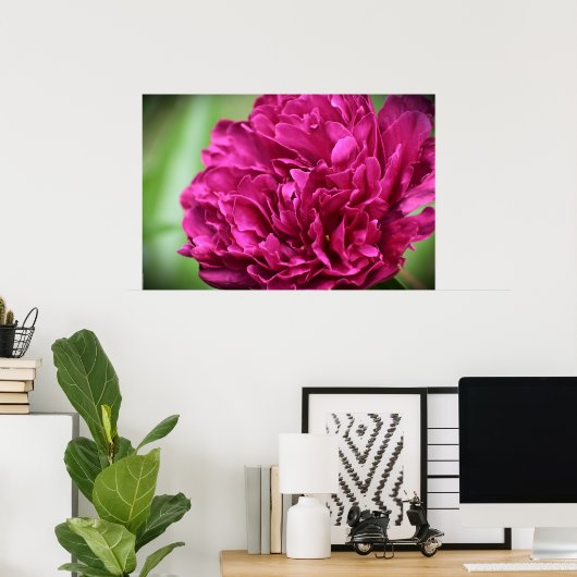 Peony Poster (Thuiskantoor)