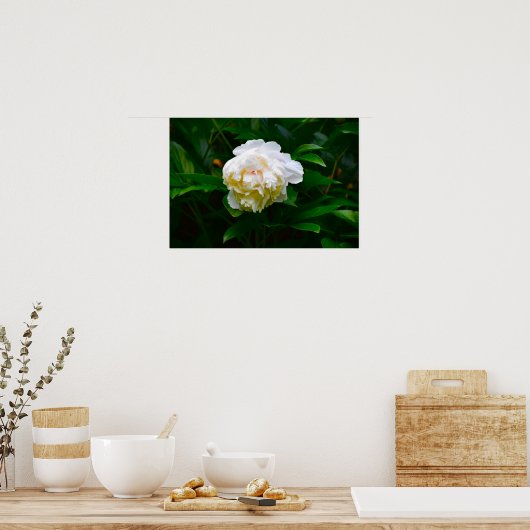 Peony Poster (Keuken)