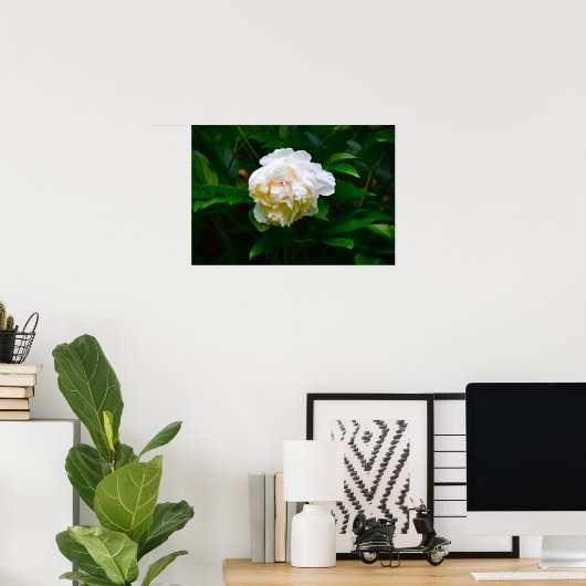 Peony Poster (Thuiskantoor)