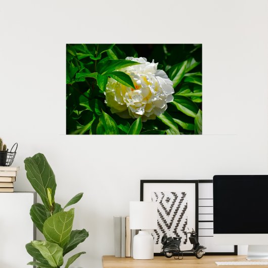 Peony Poster (Thuiskantoor)
