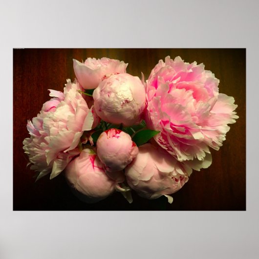 Peony Poster (Voorkant)