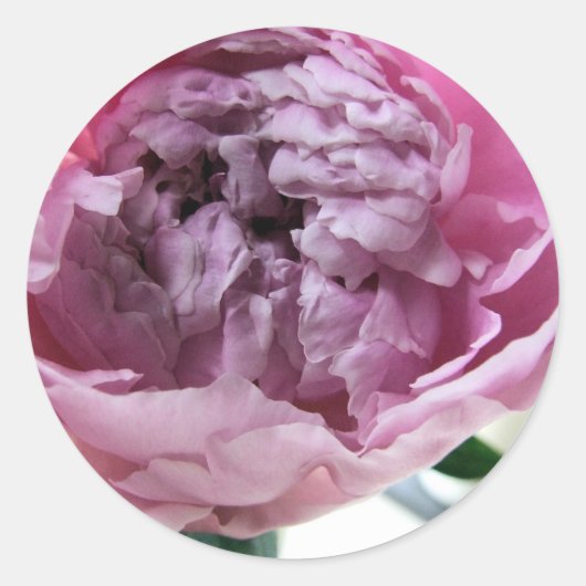 Peony Ronde Sticker (Voorkant)