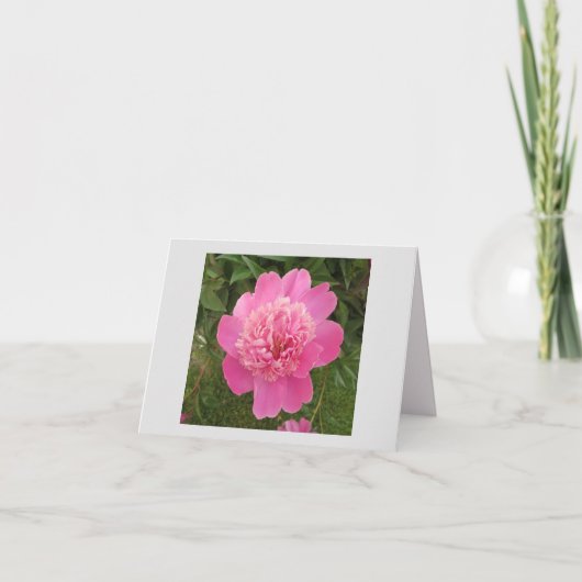 Peony rose (Devant)