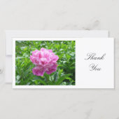 Peony rose - Merci (Devant)