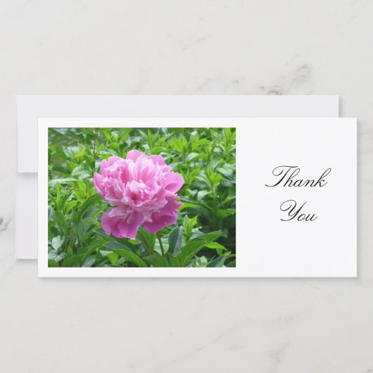 Peony rose - Merci (Devant)