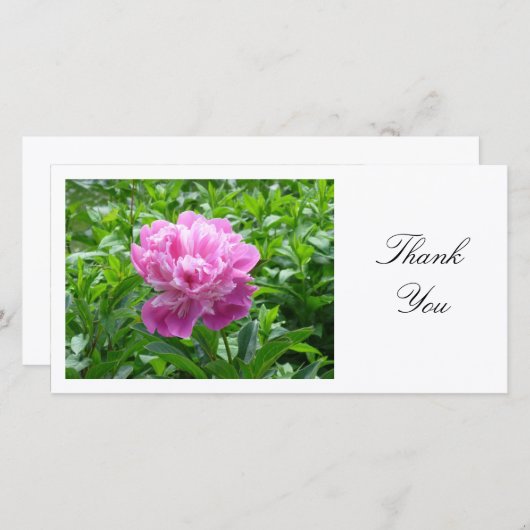 Peony rose - Merci (Devant / Derrière)