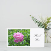 Peony rose - Merci (Debout devant)