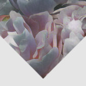 Peony-Studio Tissuepapier (Detail)