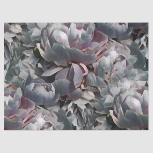 Peony-Studio Tissuepapier (Voorkant)