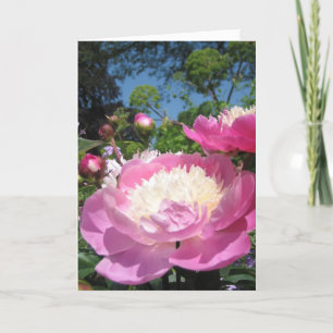 Peony verjaardagskaart kaart