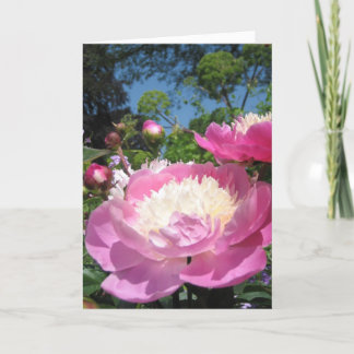 Peony verjaardagskaart kaart