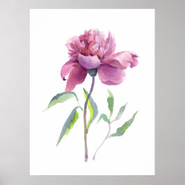 Peony Watercolor Botanical Wall Art Poster